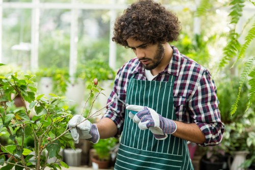 A young man with curly brown hair and a beard wearing a red and blue checkered shirt, a green and white striped apron, and gardening gloves, is carefully examining a branch with budding pink flowers in a lush greenhouse. The background features various green plants, including ferns and potted shrubs, with large glass windows allowing natural light to illuminate the vibrant greenery. The setting is a well-maintained greenhouse in Crystal Palace, with a variety of cultivated plants indicating active gardening or horticultural work, reflecting the area's gardening landscape and the services offered by Landscapers Crystal Palace. The scene emphasizes meticulous plant care and the lush, healthy appearance of the indoor garden environment under a mild, diffuse light typical of greenhouse conditions.
