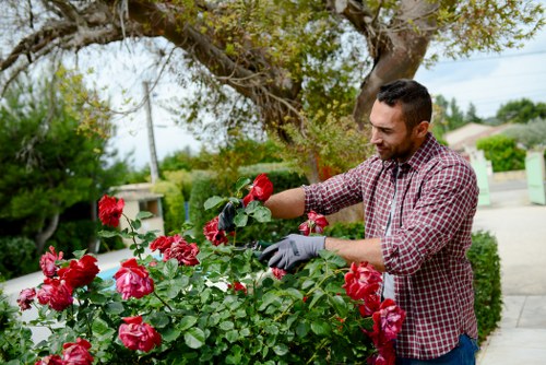 Example landscaping job pricing for a Crystal Palace home