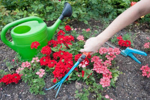 A close-up view of a garden bed in a residential outdoor space, featuring vibrant red and pink flowering plants, with a green plastic watering can placed on the soil. A gardener's arm is visible, holding a small hand rake or cultivator, tending to the plants. The soil appears well-maintained and free of weeds. In the background, there is dense green foliage comprising shrubs or hedges, indicating a well-established garden layout. The scene is outdoors under natural daylight, suggesting a clear weather condition suitable for gardening. The overall setting displays an organized and lush garden area, focusing on flower bed maintenance, consistent with gardening services provided by Landscapers Crystal Palace in the Croydon or nearby postcode area.