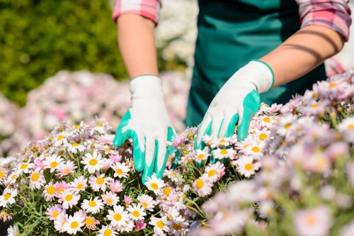 Safe and insured rubbish company service in Crystal Palace