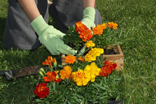 A person wearing light green gardening gloves is planting colourful red, orange, and yellow flowers into a wooden garden bed on a well-maintained lawn, with short, neat grass visible in the background. The garden bed is situated in an outdoor landscaped area, possibly part of a front or back garden in the Crystal Palace area. The scene is captured in natural daylight with clear weather, highlighting the vibrant flower colours and lush green foliage. The person appears to be engaged in garden maintenance or planting, reflecting professional garden care services offered by Landscapers Crystal Palace within a typical outdoor environment dedicated to gardening and lawn care.
