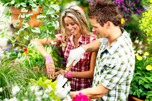 Inclusive website experience for Landscapers Crystal Palace visitors