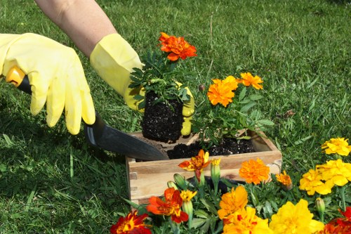 Curb appeal enhancement by expert landscapers