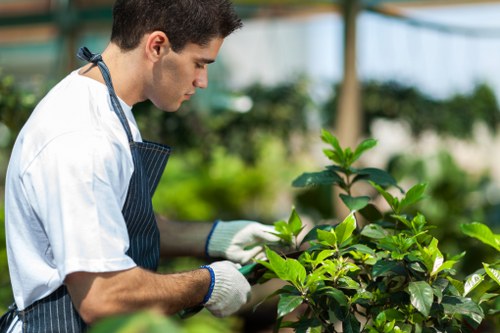 Workers handling garden waste and rubbish safely