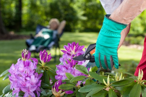 Local climate considerations for landscape gardening in Crystal Palace