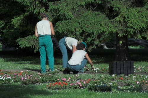 Professional landscaper designing a garden layout in Crystal Palace