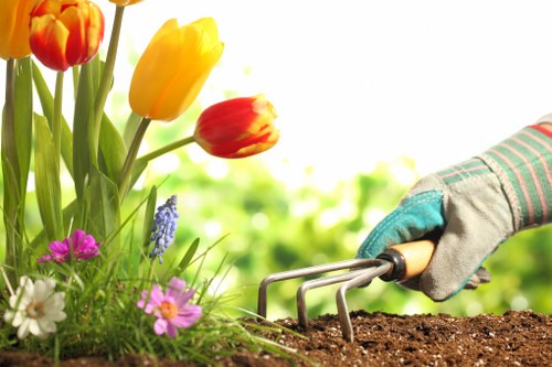 Low-carbon van supporting sustainable landscaping waste collection