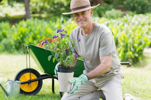 Seasonal lawn care practices in Crystal Palace