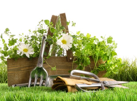 Final commitment to zero tolerance and responsible landscaping practices