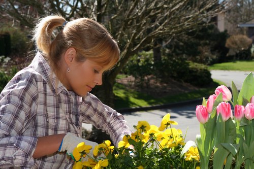 A woman with blonde hair tied back in a ponytail is working in an outdoor garden space, tending to a flower bed filled with vibrant yellow pansies and pink tulips. She is wearing a light-colored, checkered long-sleeve shirt and gardening gloves, actively planting or pruning the flowers. The garden is situated in a residential area with a paved driveway or street visible in the background, bordered by a well-maintained lawn and mature trees with bare branches, suggesting early spring. The area features a mix of natural soil and mulched flower beds, with lush green grass in the foreground. The natural daylight indicates a clear weather condition, providing gentle sunlight that enhances the natural tones of the garden. The scene reflects a well-organized outdoor space typical of residential landscaping, where gardening services such as planting, pruning, and lawn maintenance are regularly carried out by professionals like Landscapers Crystal Palace, contributing to the aesthetic and healthy growth of the garden.