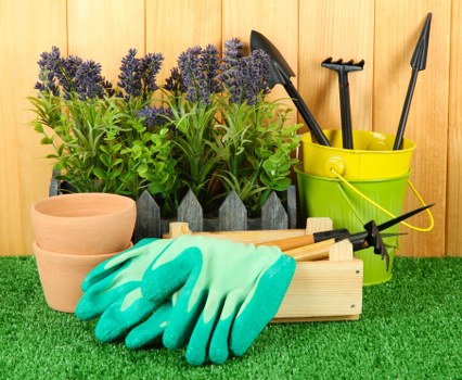 A close-up of gardening tools and supplies arranged in a neat outdoor setting, featuring two terracotta plant pots positioned at the front with a pair of bright turquoise gardening gloves resting on a small wooden tray. Behind the pots, there are multiple lavender plants with purple flower spikes and green foliage, set against a wooden panel fence. To the right, a lime green plastic bucket holds various hand tools including a trowel, a fork, and a pruning shear, all with black handles. The scene is set on a vibrant, well-maintained lawn with characteristic natural green tones, suitable for a garden in Crystal Palace or the surrounding area, reflecting a typical gardening or landscaping maintenance environment associated with local gardening services.