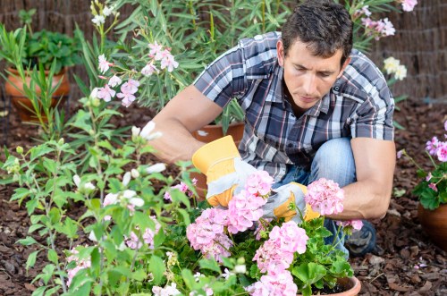 Tools and equipment used for garden clearance