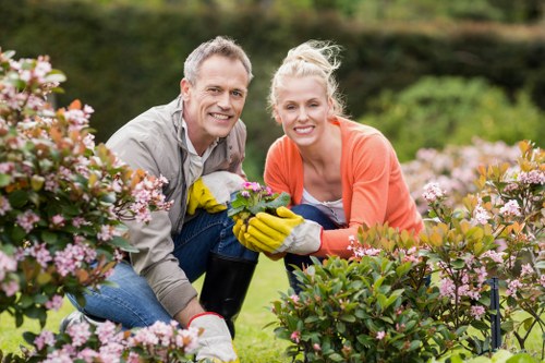 Professional landscapers designing an outdoor space